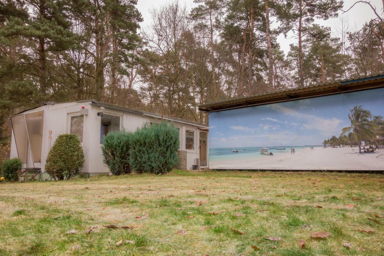 Bungalow Am Wald Bernau bei Berlin Dış mekan fotoğraf